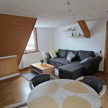 Haus Cronenberg Im Harz 3 Apartment